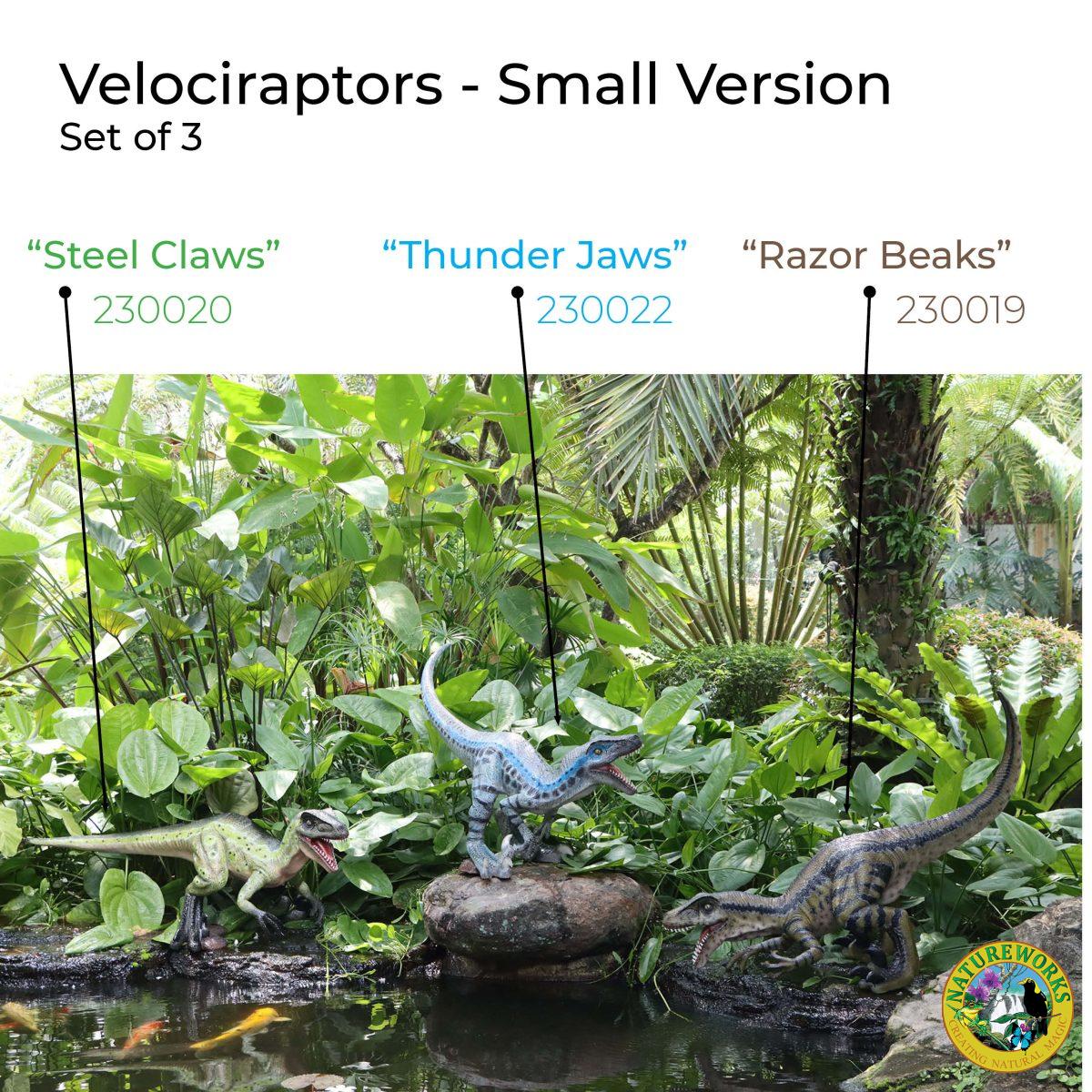 Natureworks Australia Velociraptor Steel Claws - Dinosaur - Small Version