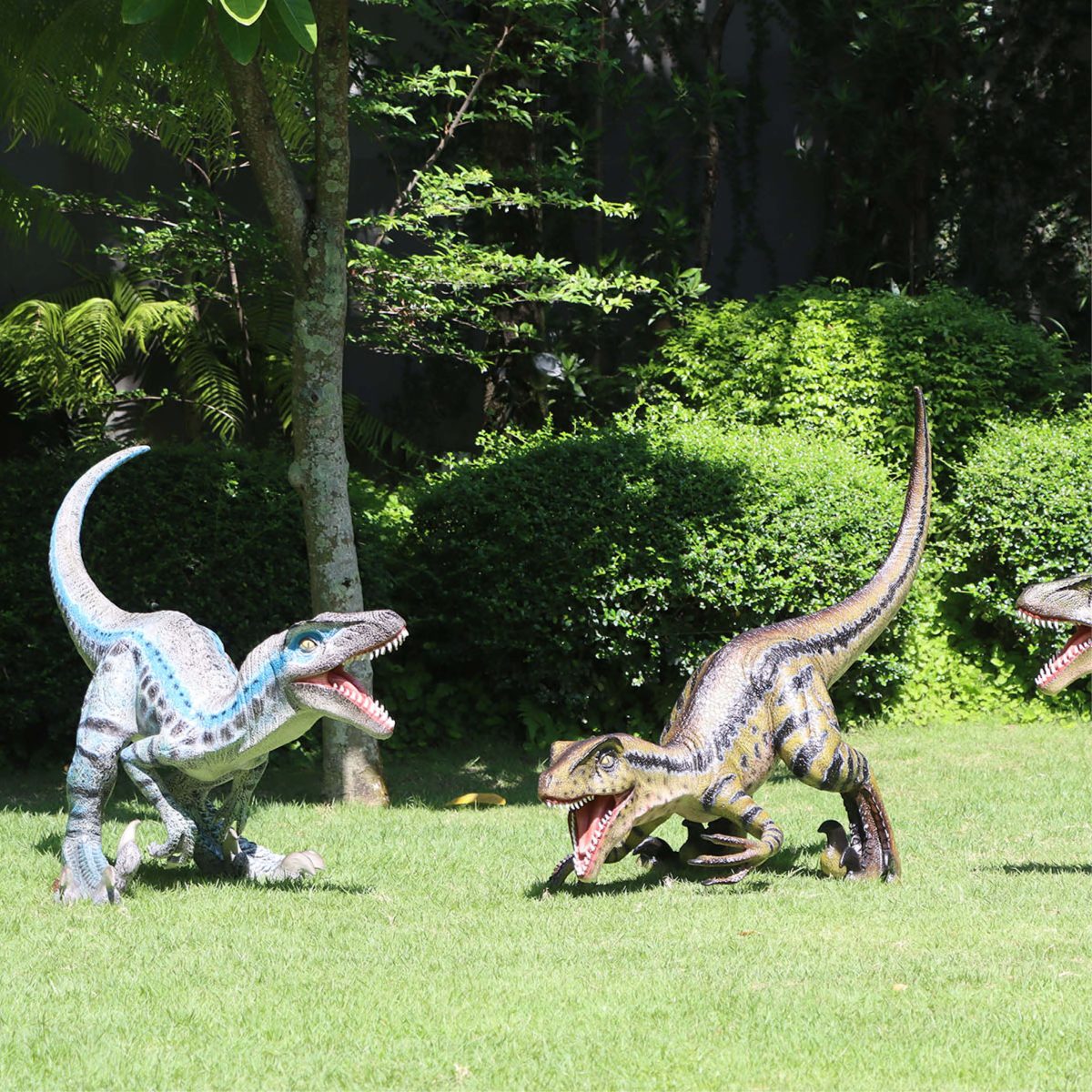 Natureworks Australia Velociraptor dinosaurs