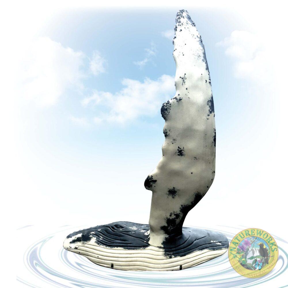 Humpback Whale fin with Side of whale section showing