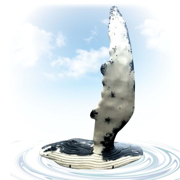 Humpback Whale fin with Side of whale section showing