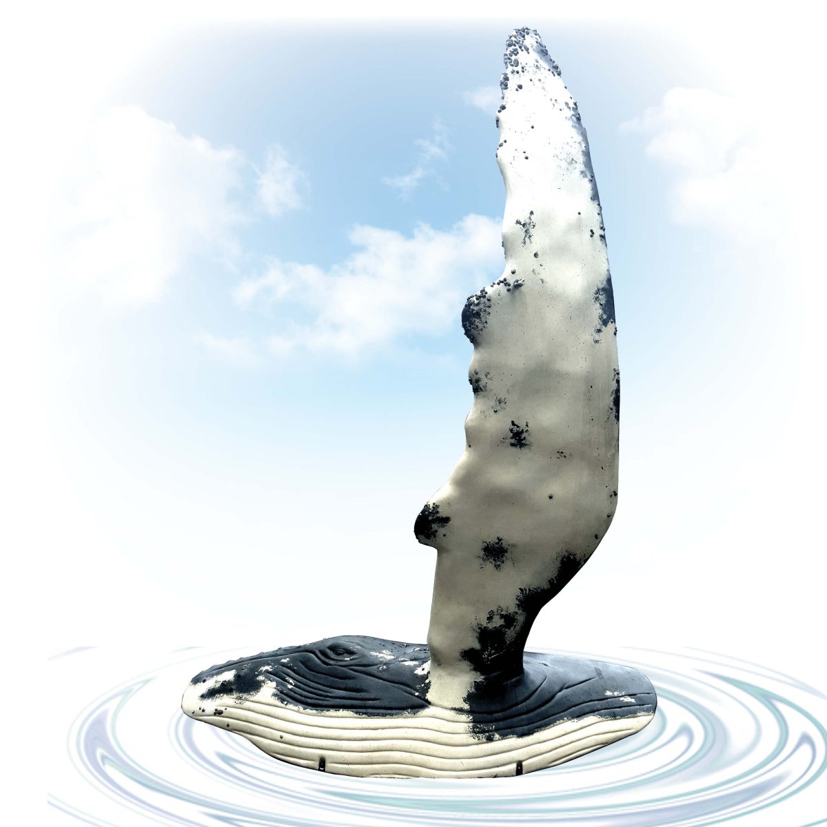 Natureworks Australia Humpback Whale fin with Side of whale section showing