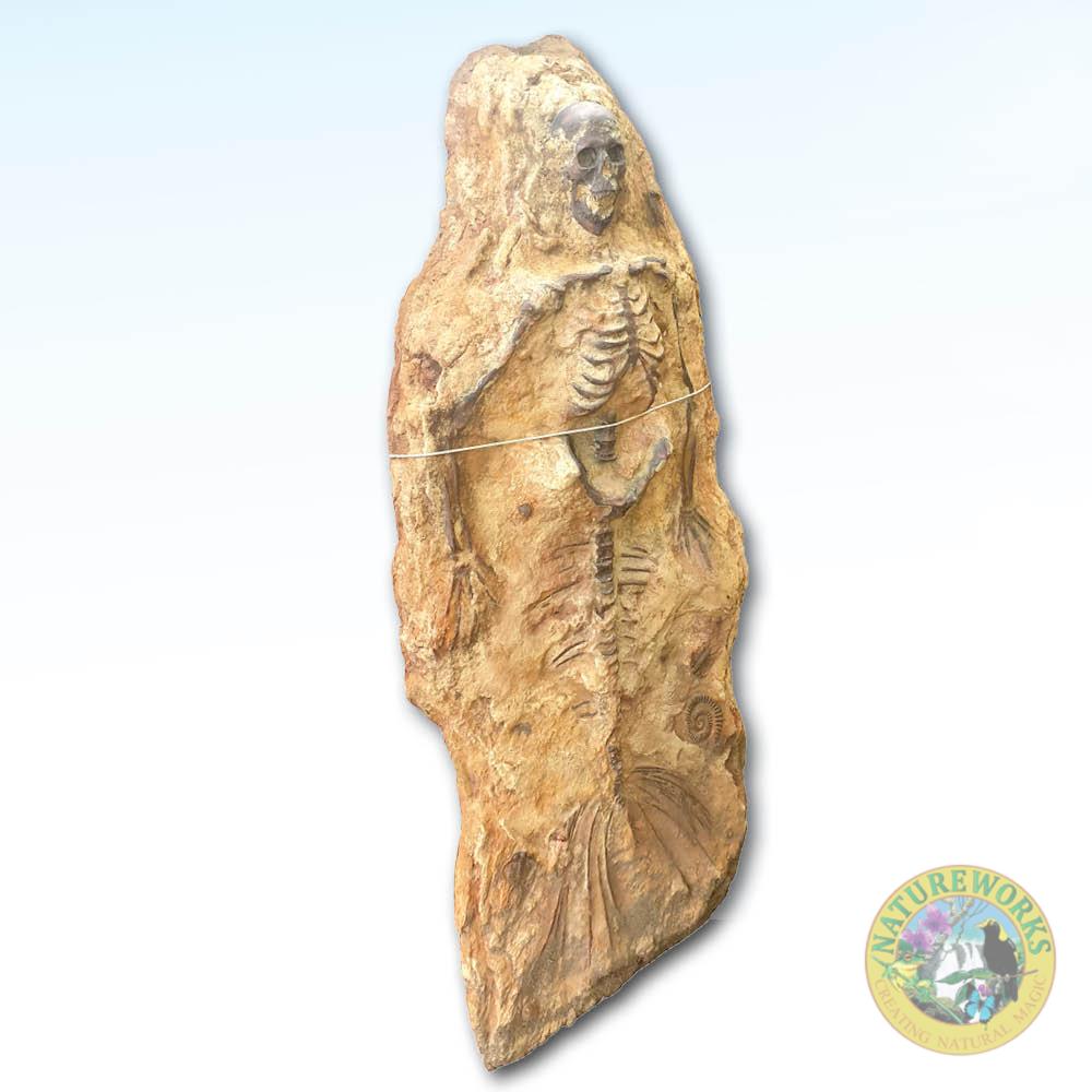 Natureworks Australia Mermaid Fossil Skeleton - Image 2