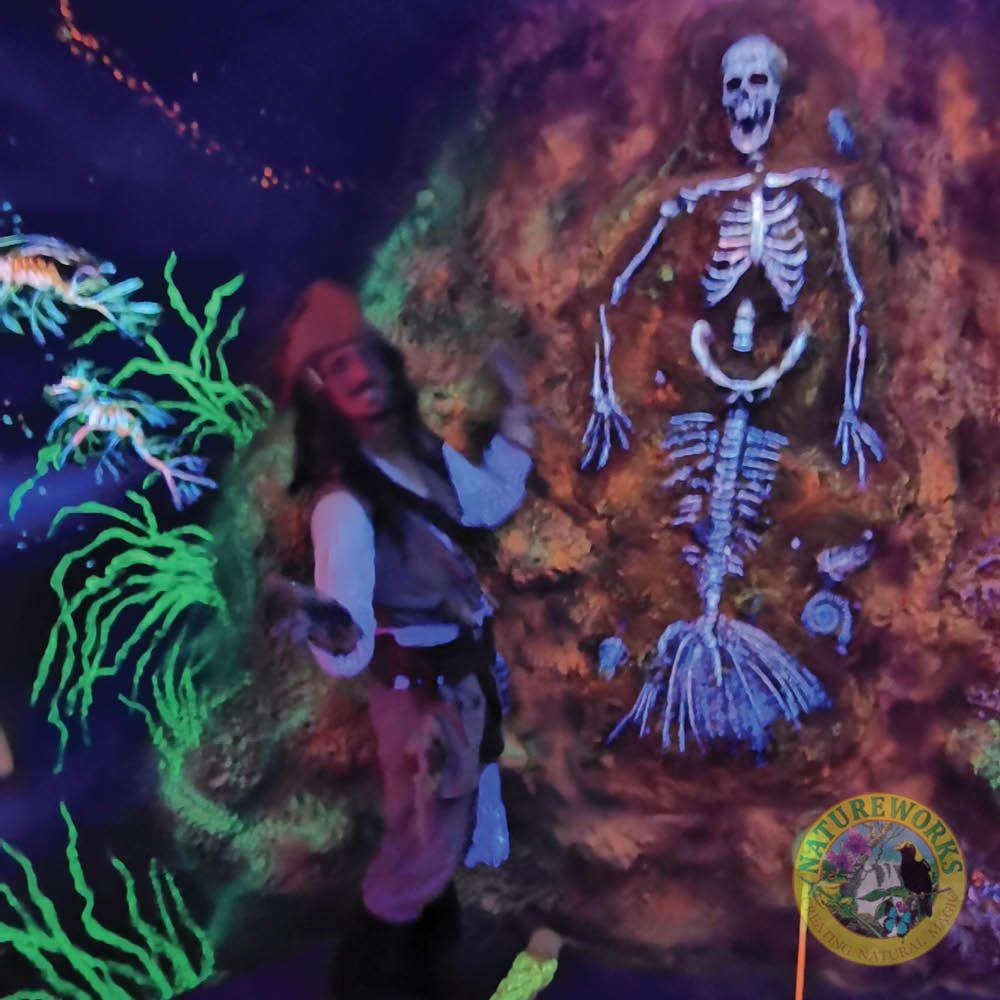 Natureworks Australia Mermaid Fossil Skeleton - Image 6