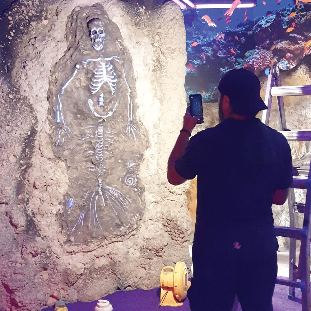 Natureworks Australia Mermaid Fossil Skeleton - Image 5