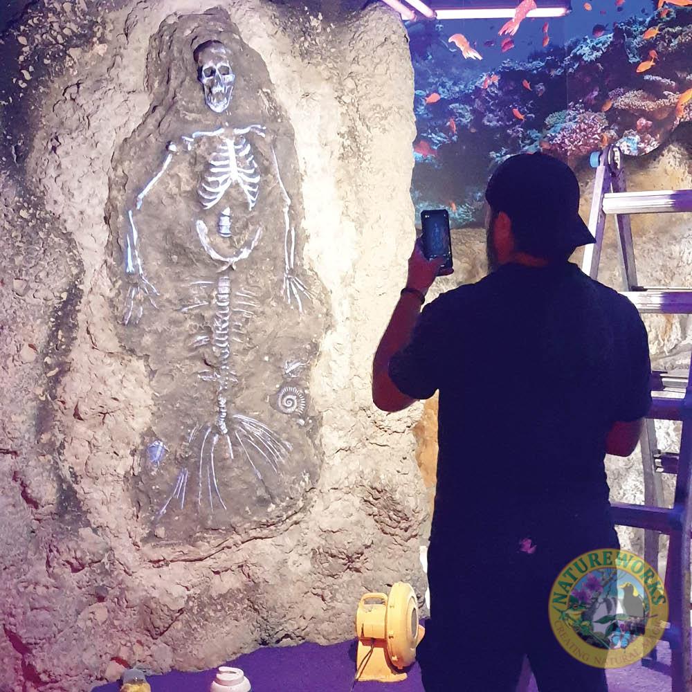 Natureworks Australia Mermaid Fossil Skeleton - Image 5