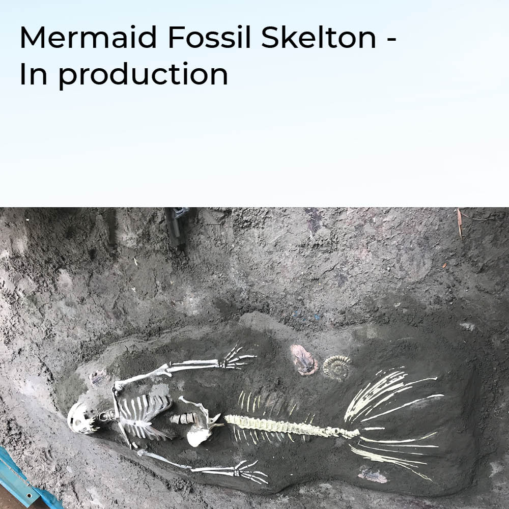 real life mermaid skeleton