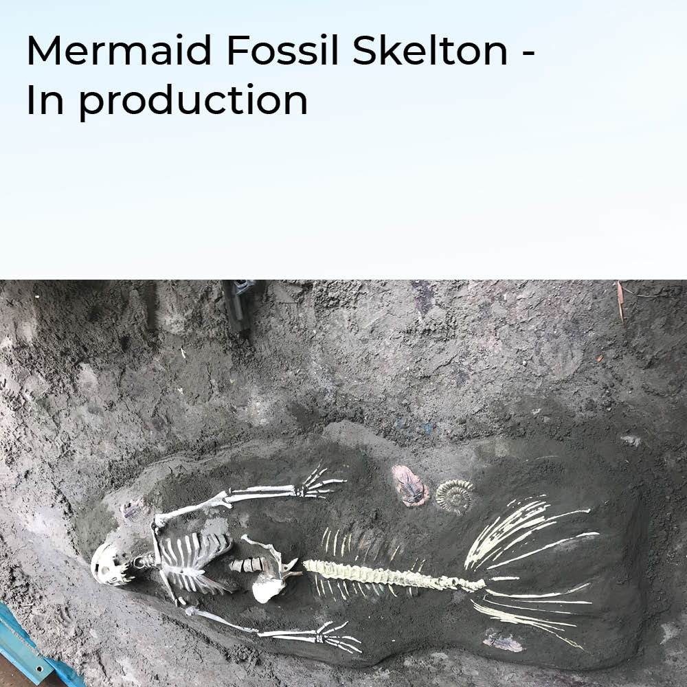 Natureworks Australia Mermaid Fossil Skeleton - Image 4