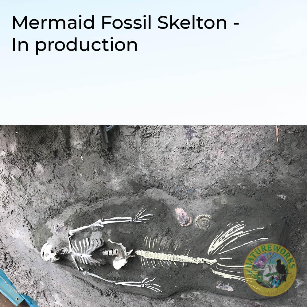 Natureworks Australia Mermaid Fossil Skeleton - Image 4