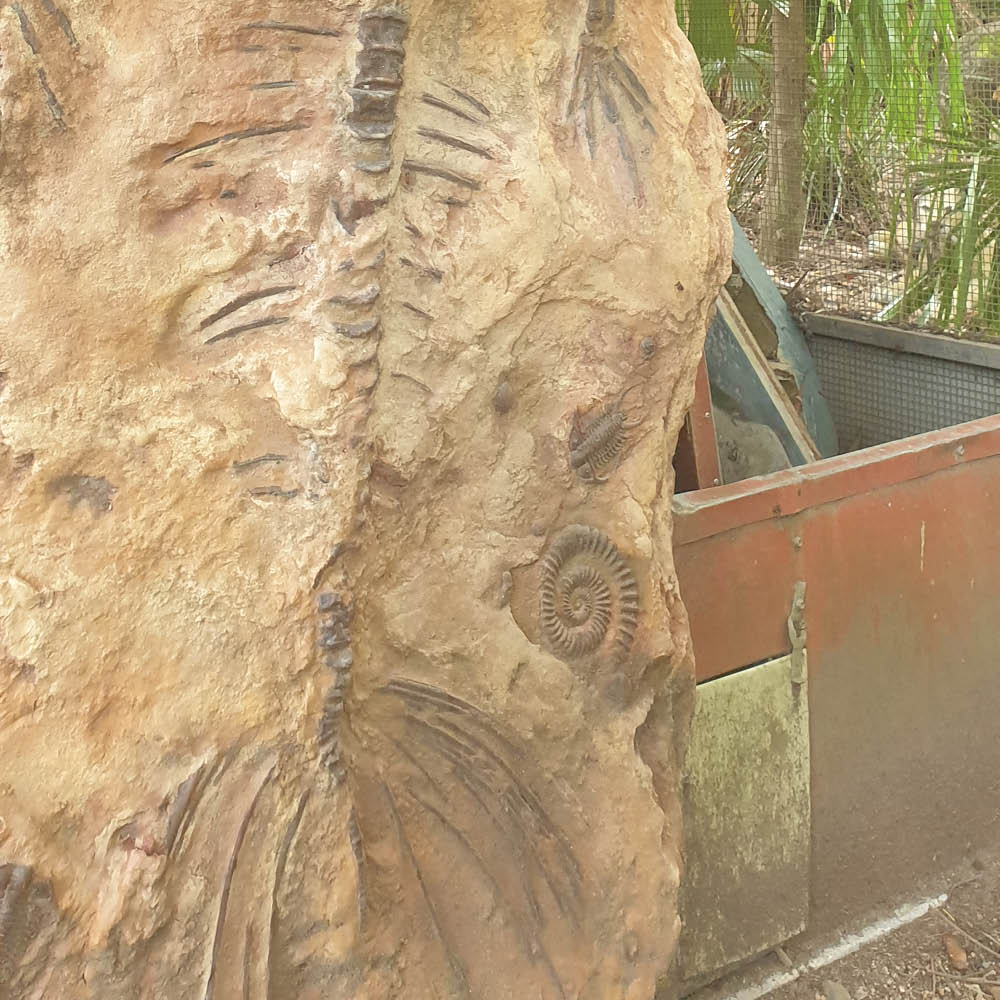 Natureworks Australia Mermaid Fossil Skeleton - Image 3