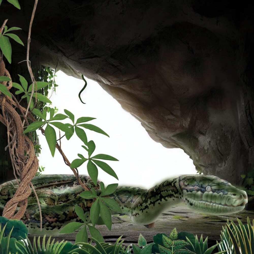Titanoboa - Giant Snake - Climb and play playground structure - shown with cave background