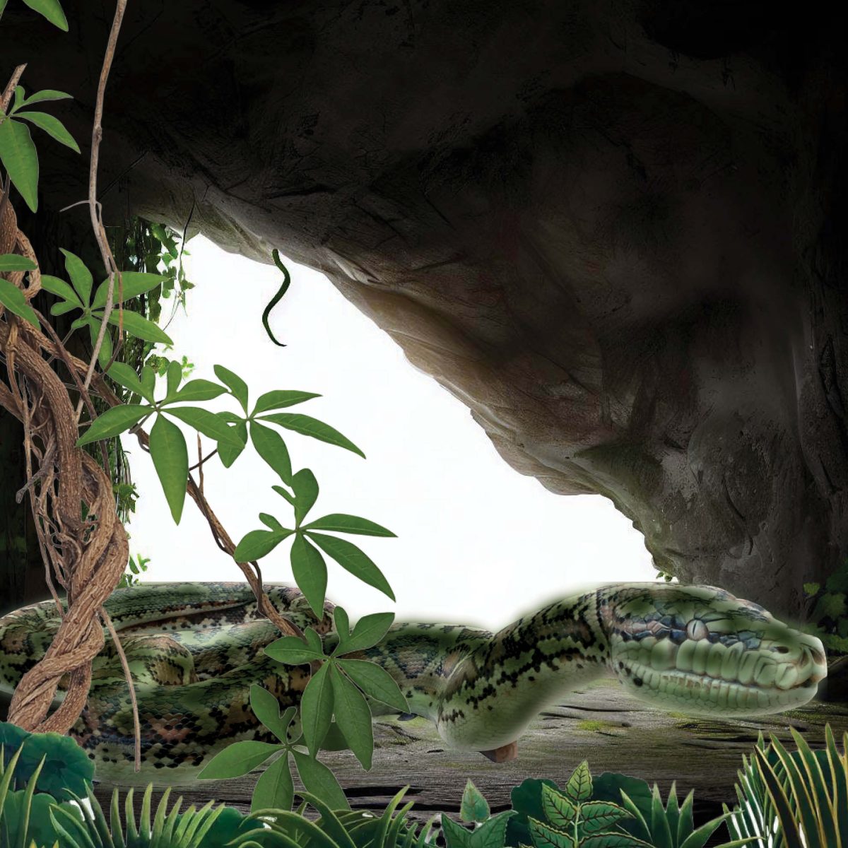 Natureworks Australia Titanoboa - Giant Snake - Climb and play playground structure - shown with cave background