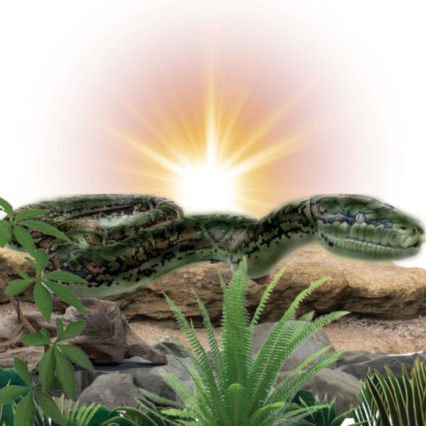 Titanoboa - Giant Snake - Climb and play playground structure - shown on rock and rid sunset