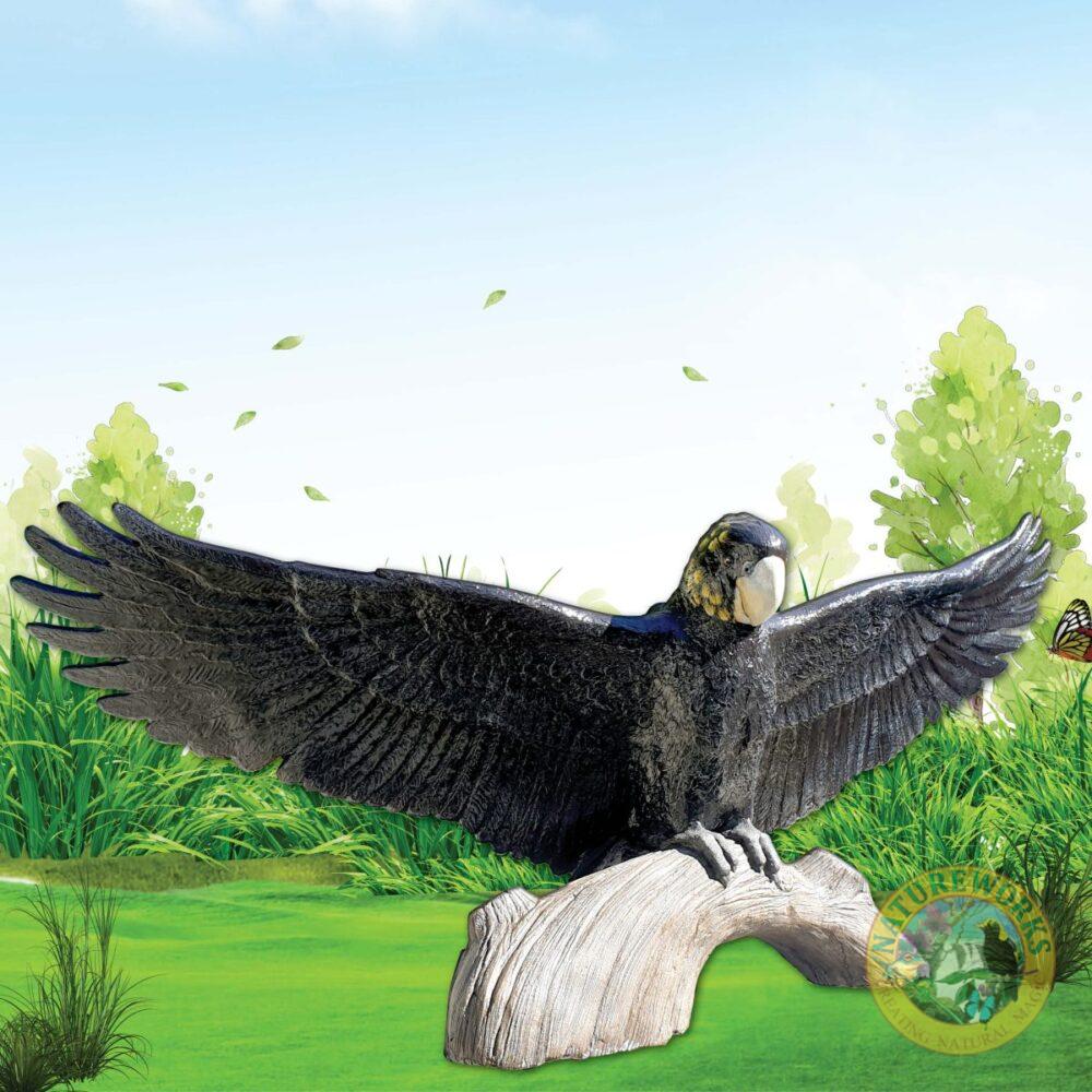 COCKATOO- Female - custom glossy black cockatoo 3m wing span