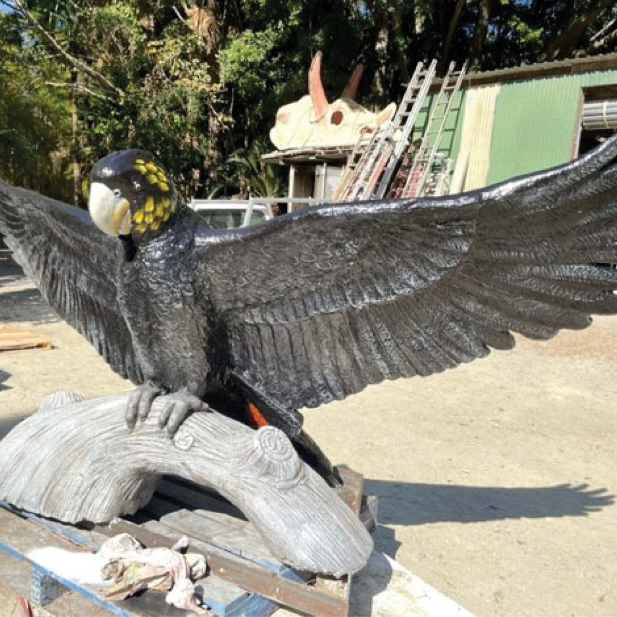 Natureworks Australia Cockatoo- Glossy Black Female - 3m wide - Image 5