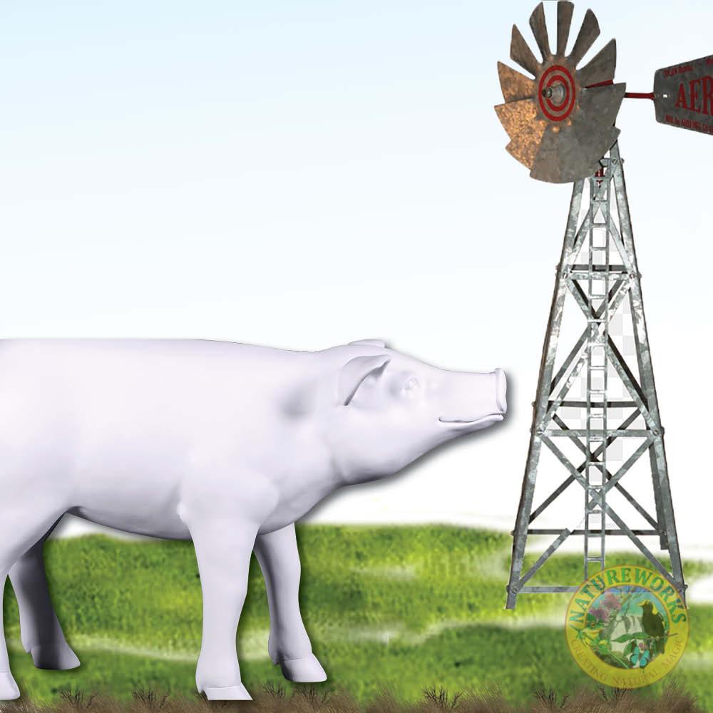 Natureworks Australia Pig statue Standing Small side view-140083WP