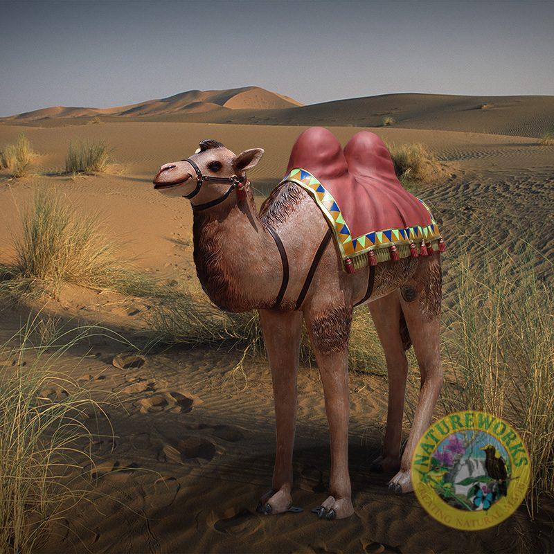 Camel – Nativity – Standing with rug saddle – 180183 – 127cm high