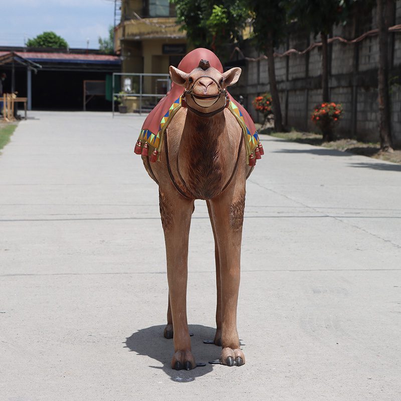Natureworks Australia Camel – Nativity – Standing with rug saddle – 180183 – 127cm high- front view