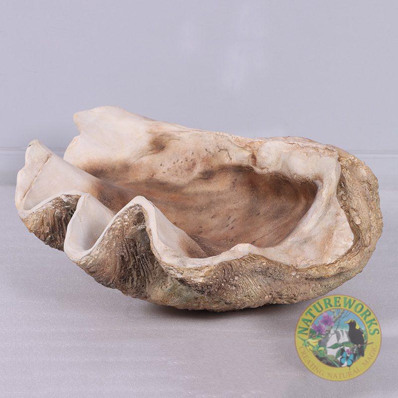 Natureworks Australia Clam Shell - Giant - 230049 - authentic replica made with fibreglass. - side view