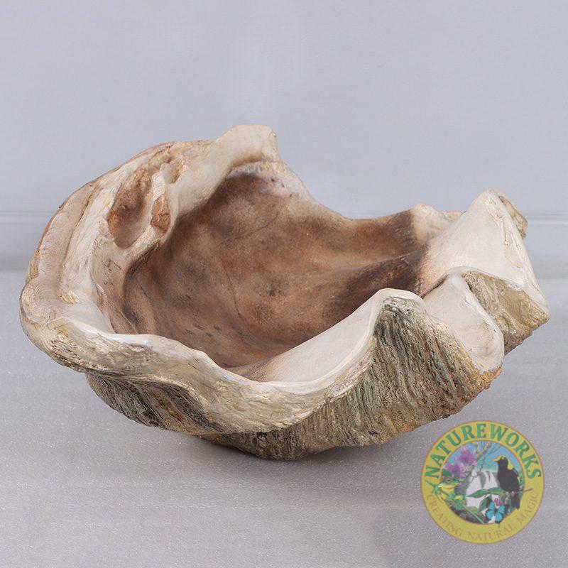 Natureworks Australia Clam Shell - Giant - 230049 - authentic replica made with fibreglass.