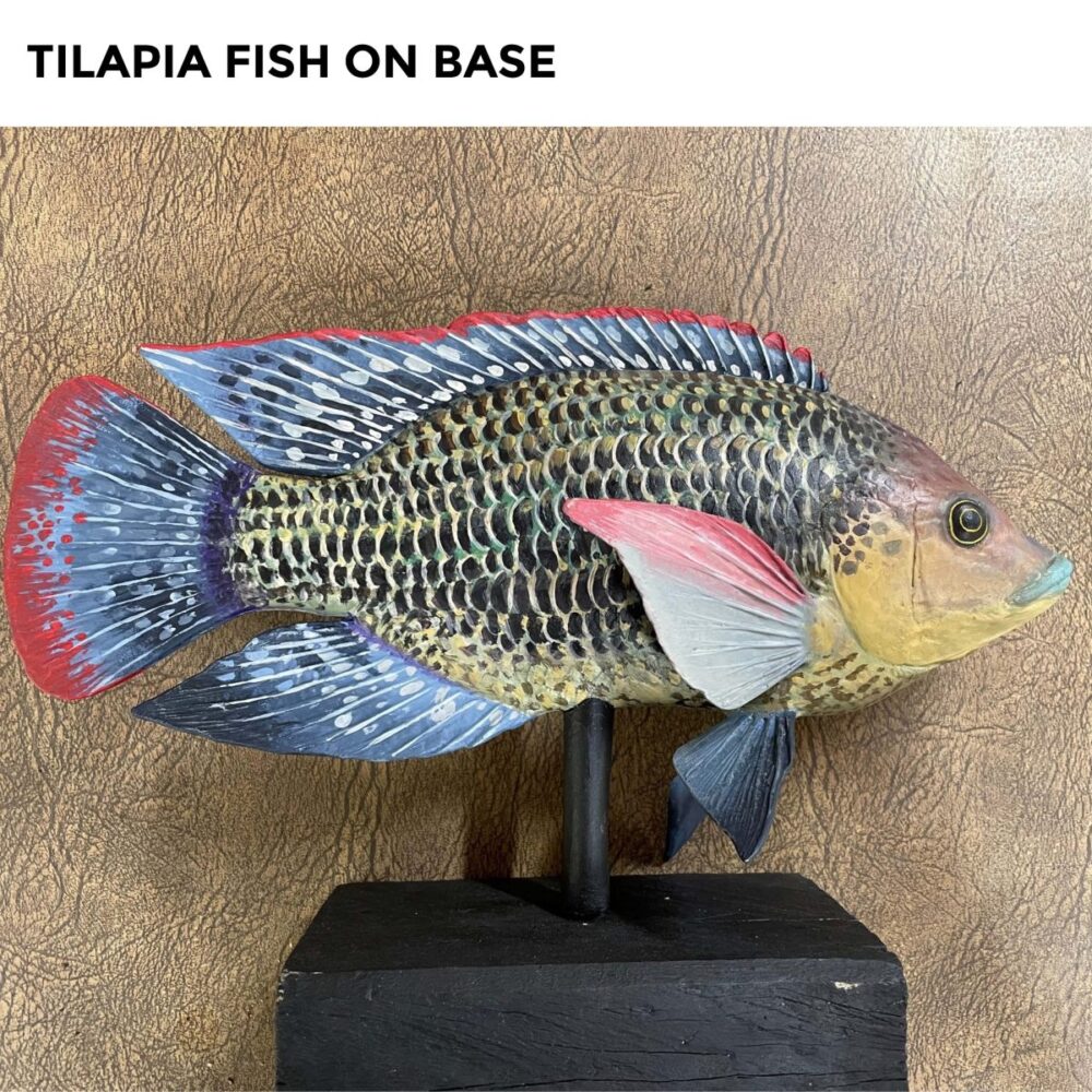 Tilapia Fish on Base - Side View