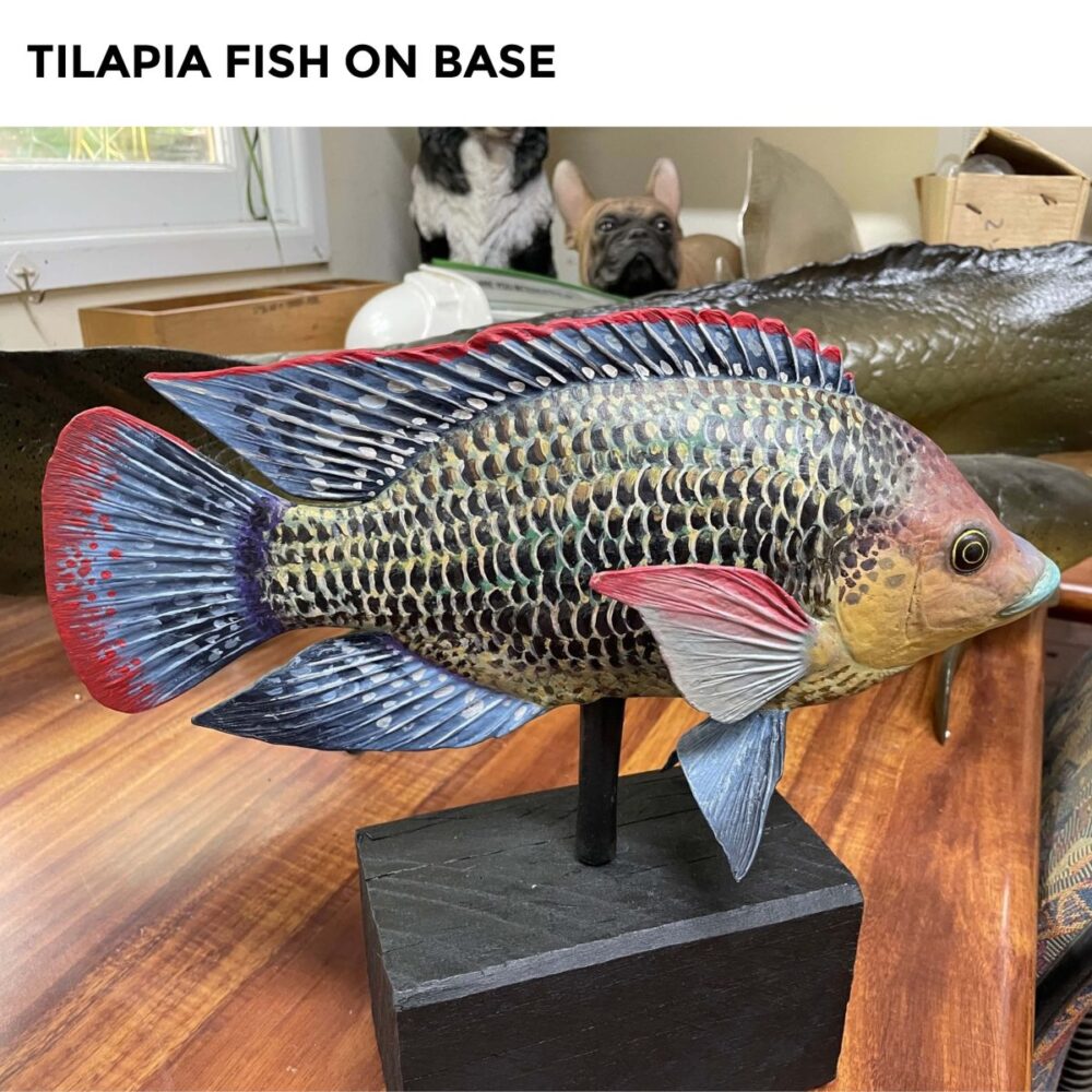 Tilapia Fish on Base - Side View - image 2