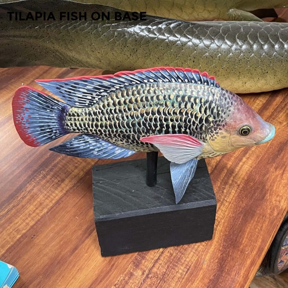 Tilapia Fish on Base - Side View