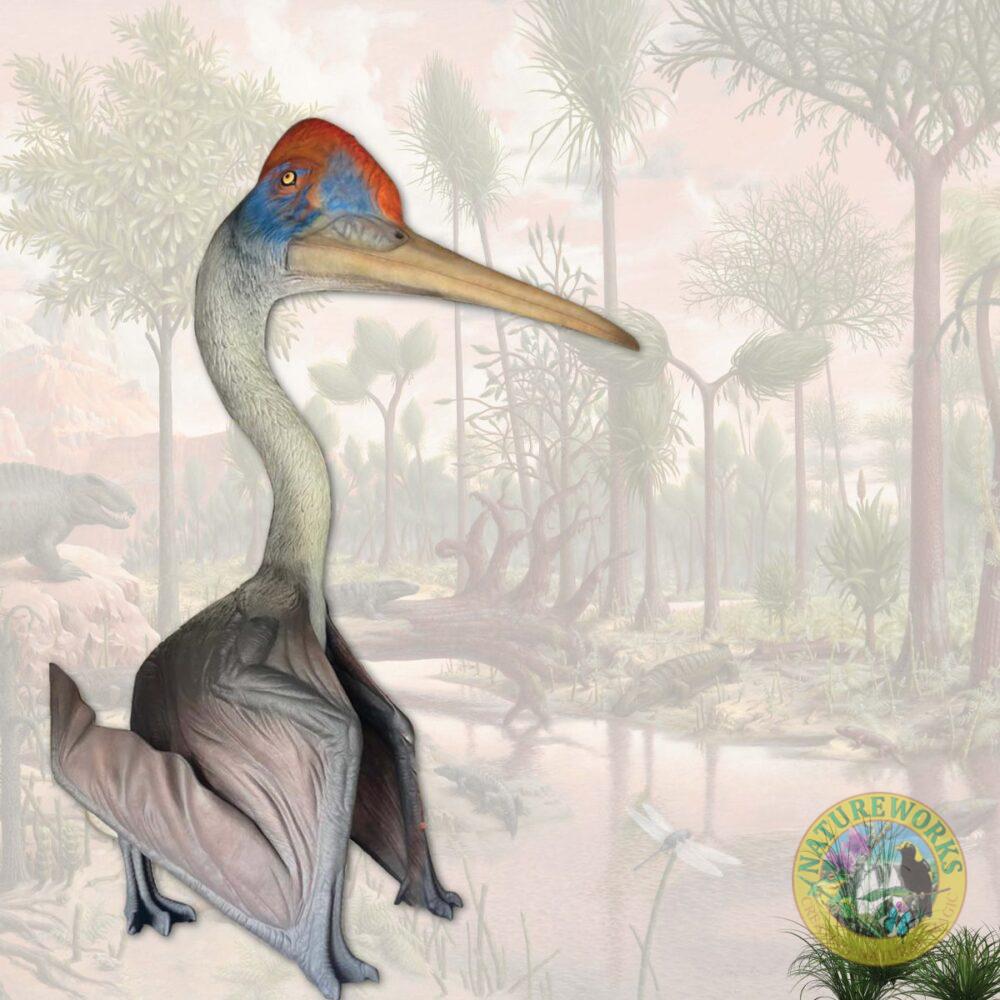 Natureworks Australia Quetzalocatlus winged dinosaur - 230089 - 6m high