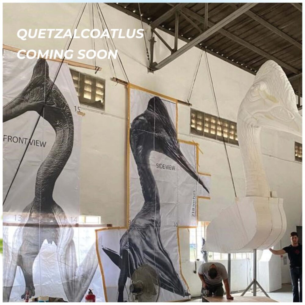 Quetzalcoatlus - 6m High - Image 2