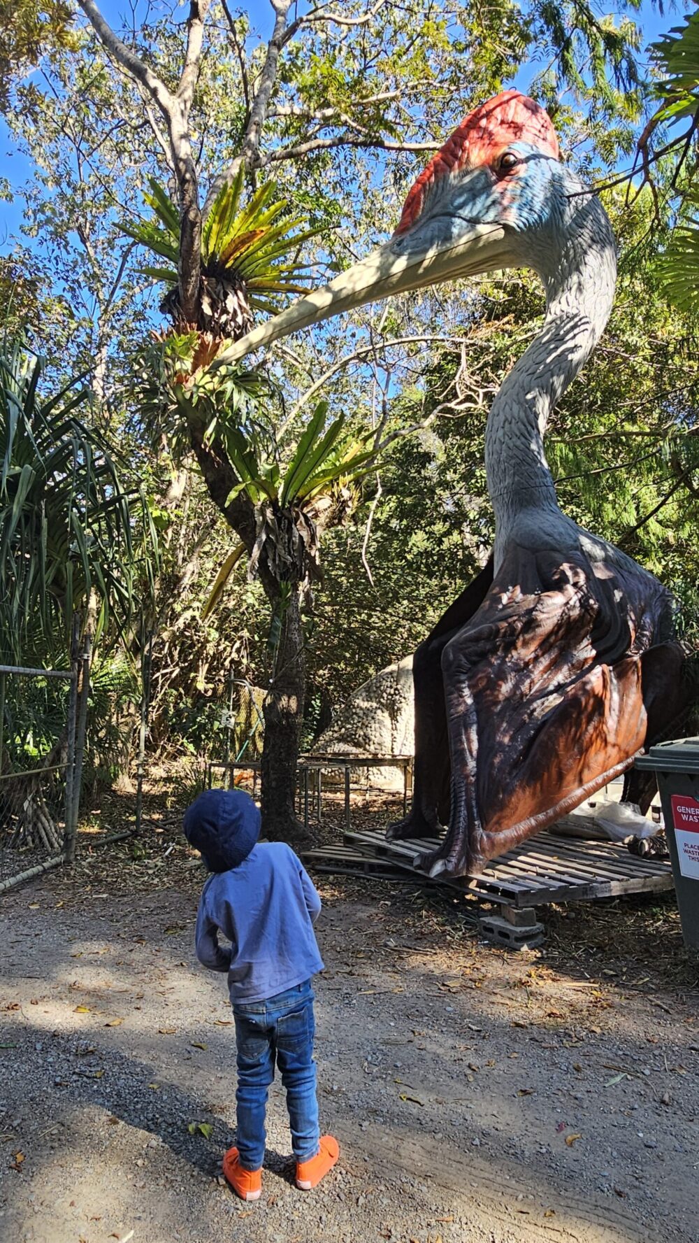 Quetzalcoatlus with little boy - Customter Visit to Natureworks