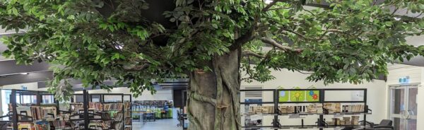 Natureworks Australia Parafield Gardens Primary School Reading Tree - banner