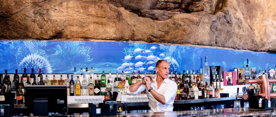 White Rhino Jungle-themed Bar, Surfers Paradise - Natureworks Australia