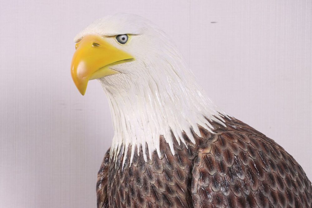 Eagle - Amercian Bald EAgle Statue/Sculpture - Large 230086- close up of head