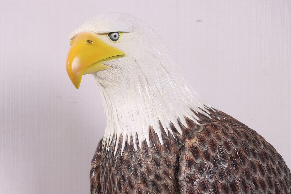 Natureworks Australia Eagle - Amercian Bald EAgle Statue/Sculpture - Large 230086- close up of head