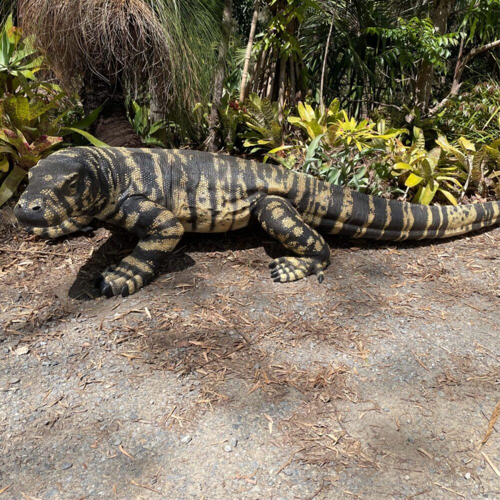 Lace Monitor - Large 3m Australian Playgruond standard - Gelcoat finish