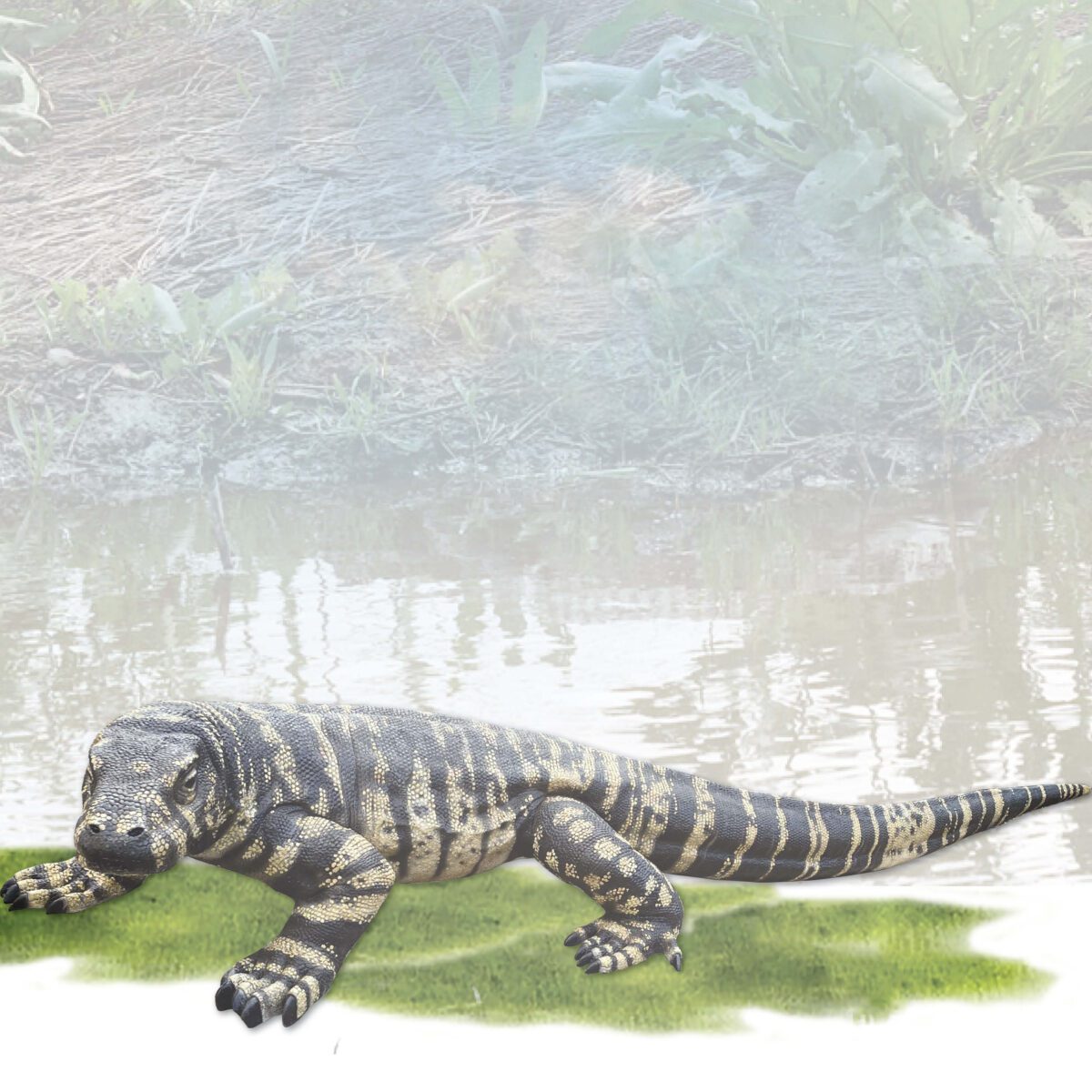 Natureworks Australia Lace Monitor - Large 3m Australian Playgruond standard - Gelcoat finish- front angle view