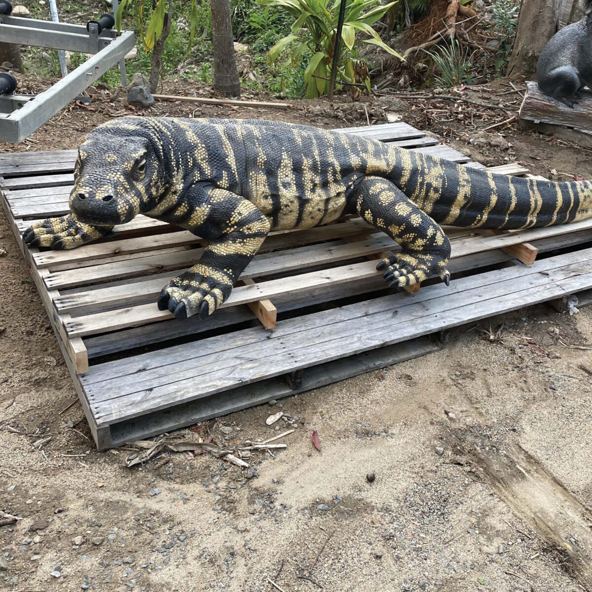 Natureworks Australia Lace Monitor - Large 3m Australian Playgruond standard - Gelcoat finish - shwon on pallet for shipping