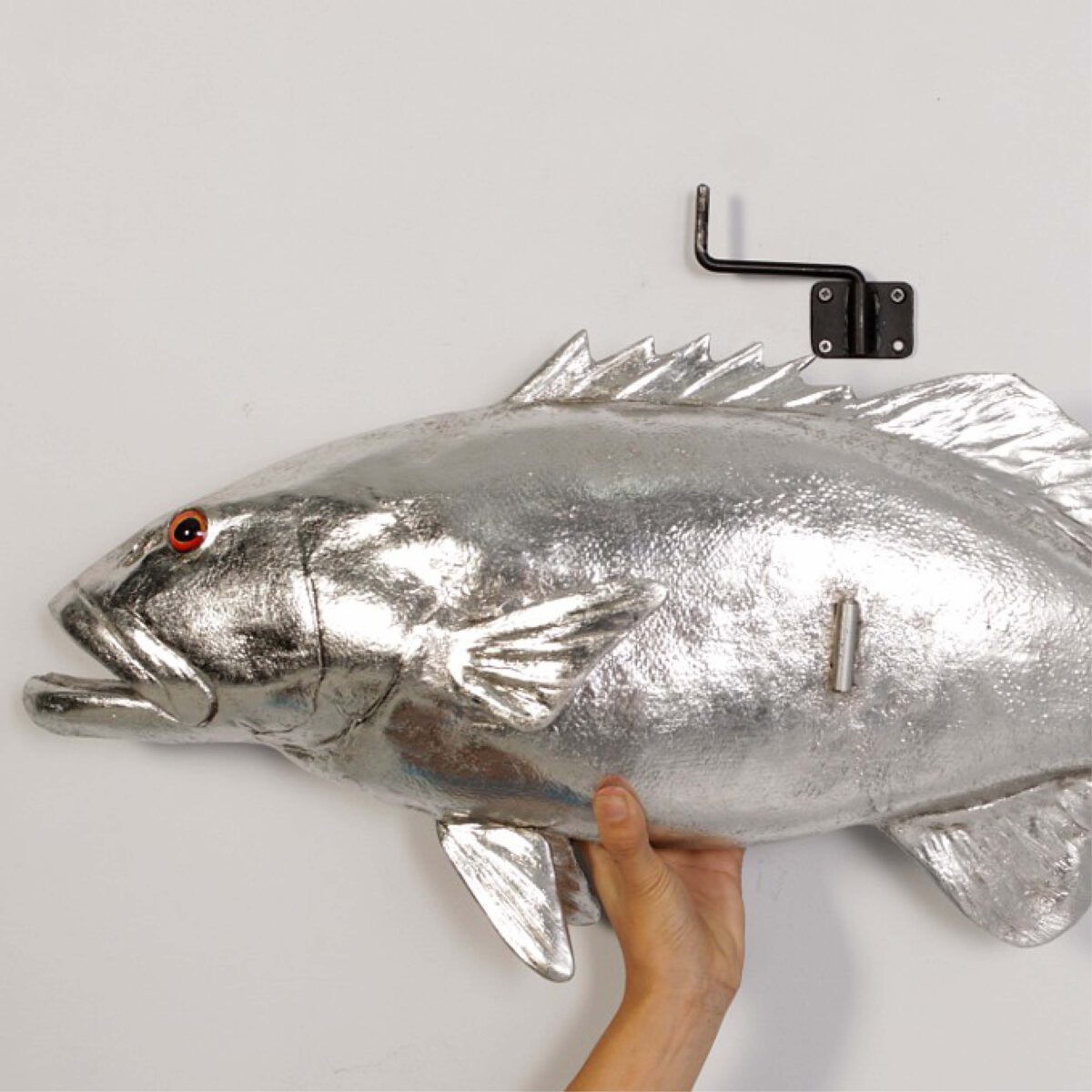 Natureworks Australia Coral trout - /silver leaf finish - 120051SL - life-size fibreglass replica - hand painted and manufactured - wall decor - includes wall mounting bracket