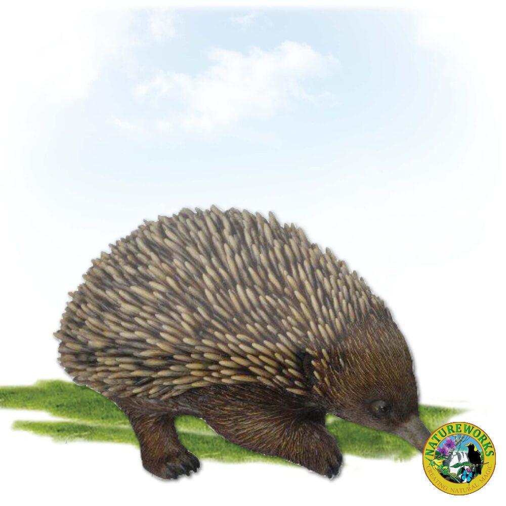 Echidna -life-size replica in walking pose -