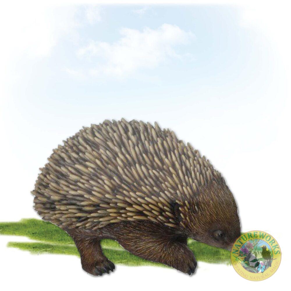 Echidna -life-size replica in walking pose -