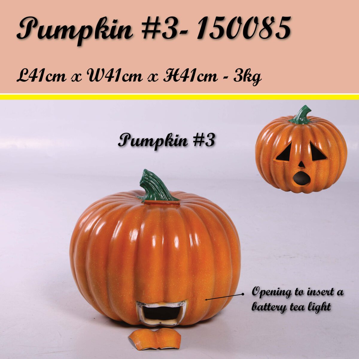 Natureworks Australia Halloween pumpkin - #3 - 150085-fshowing rear view with external hatch opening to insert a battery operated tea light to make this pumpkin glow for Halloween