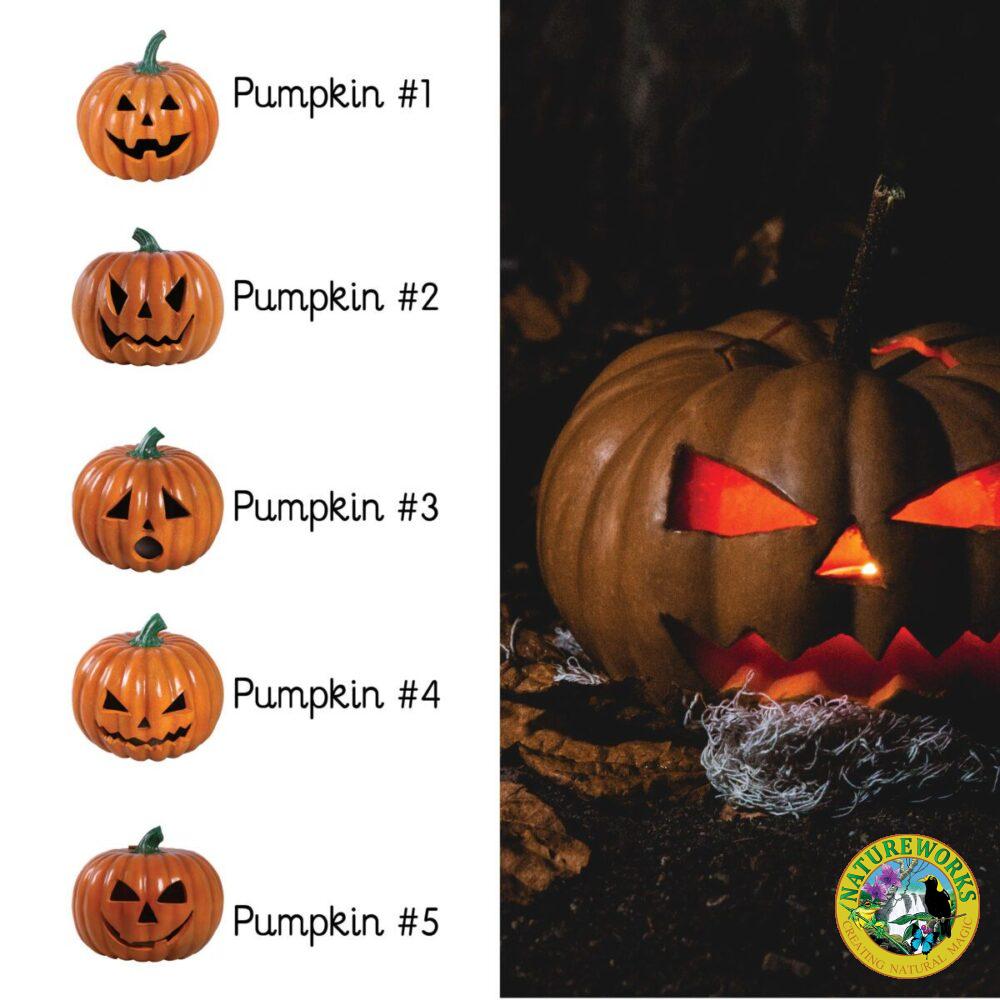 Natureworks Australia Halloween pumpkin Collections