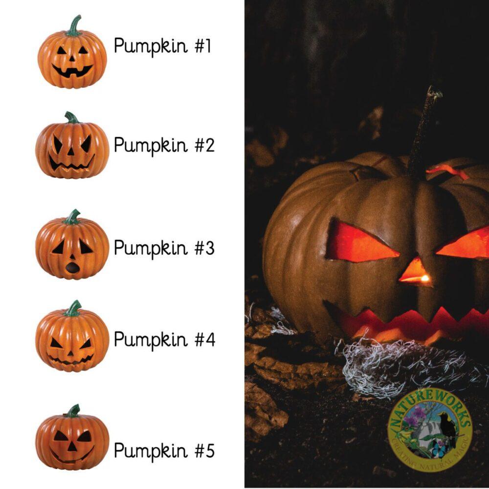 Natureworks Australia Halloween pumpkin Collections