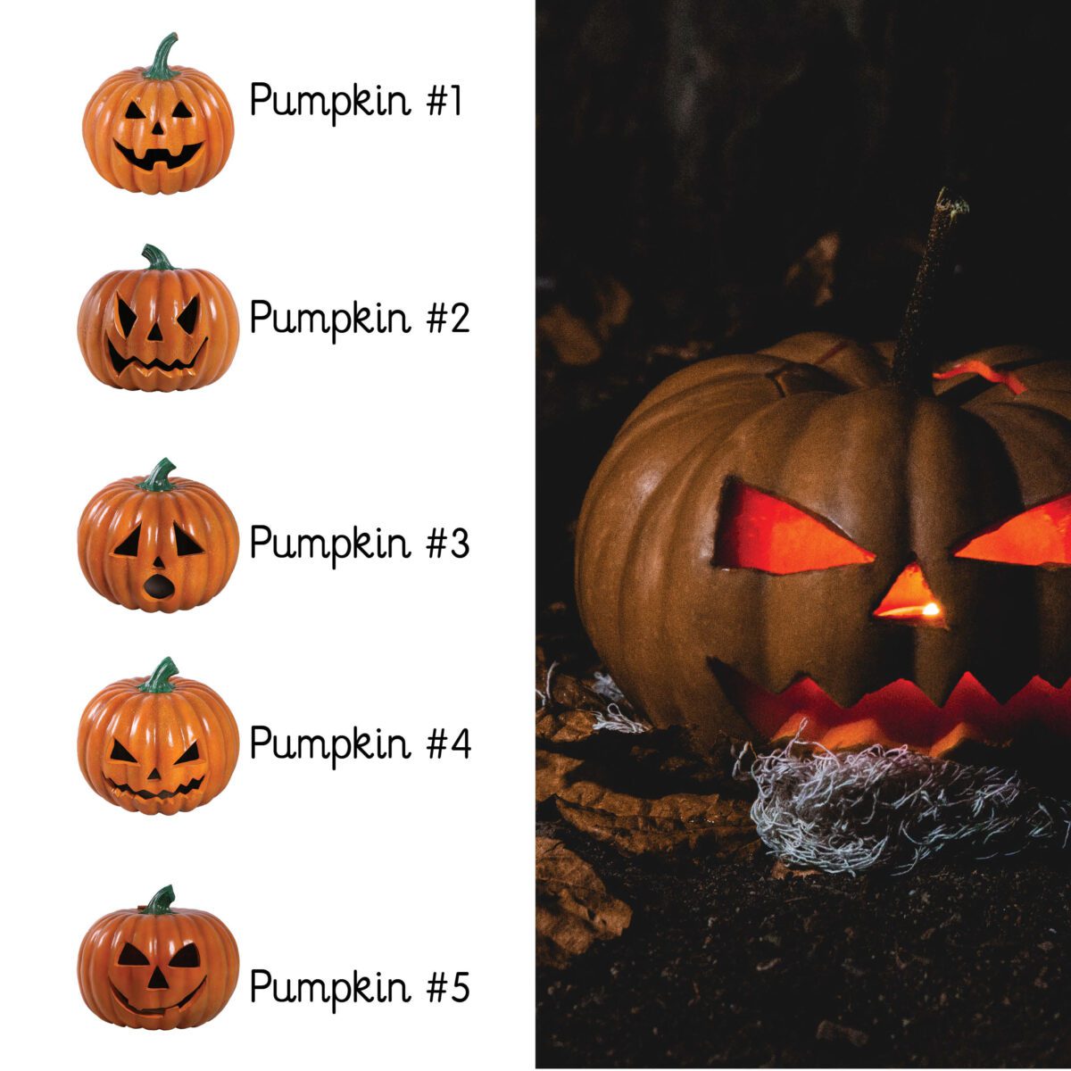 Natureworks Australia Halloween pumpkin Collections