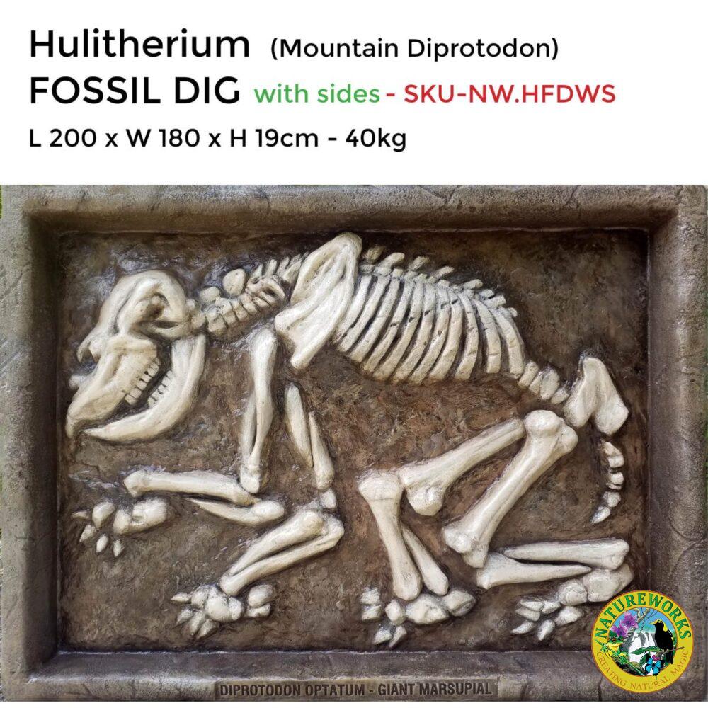 Hulitherium-Mountain Diprotodon-Fossil dig w sides-with sizes-SKU -NW-HFDWS