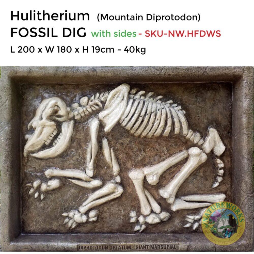 Hulitherium-Mountain Diprotodon-Fossil dig w sides-with sizes-SKU -NW-HFDWS