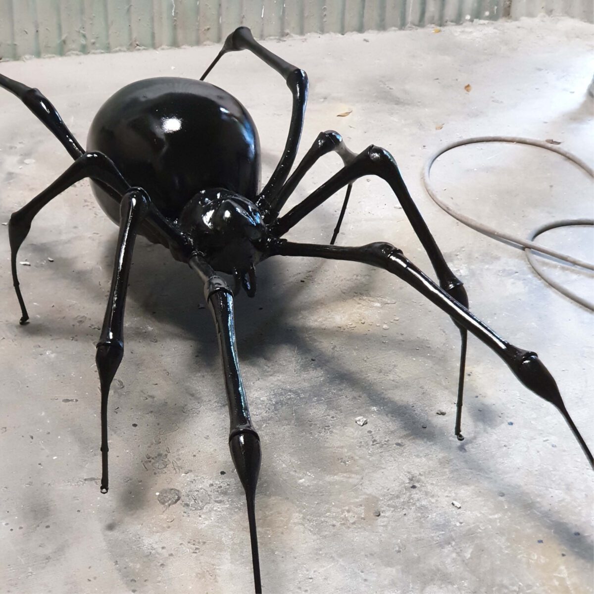 Natureworks Australia Redback Spider - 2m long - custom designed - showing in production - - shown after first coat of black paint