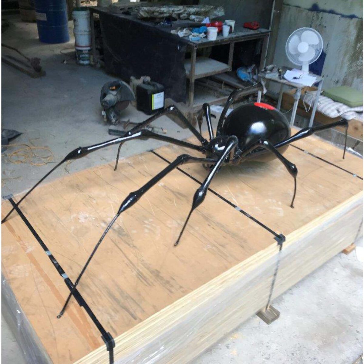 Natureworks Australia Redback Spider - 2m long - custom designed - showing in production - - showing long legs