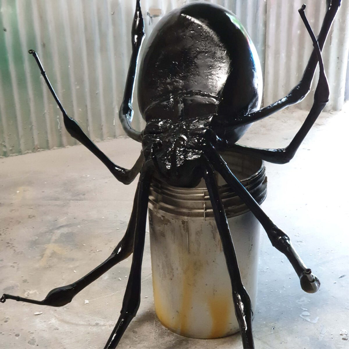 Natureworks Australia Redback Spider - 2m long - custom designed - showing in production - - showing reverse side