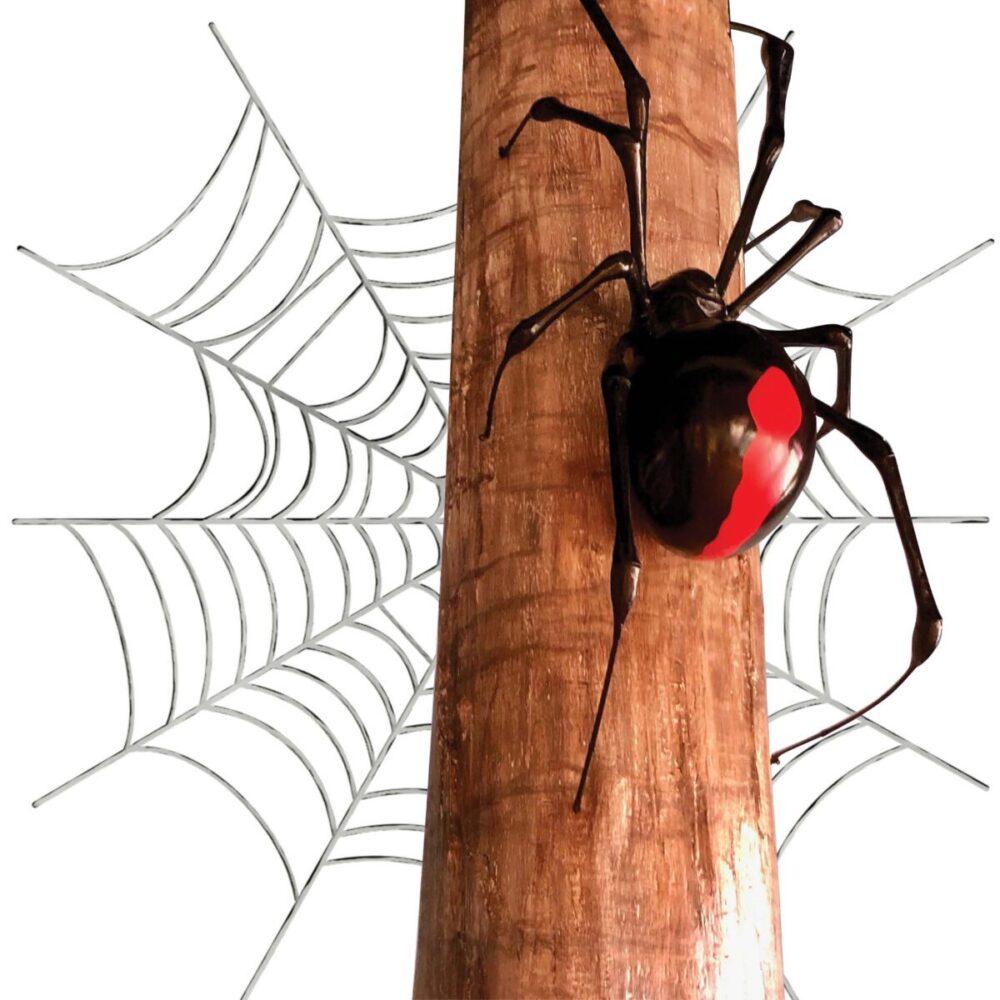 Redback Spider - large 2m