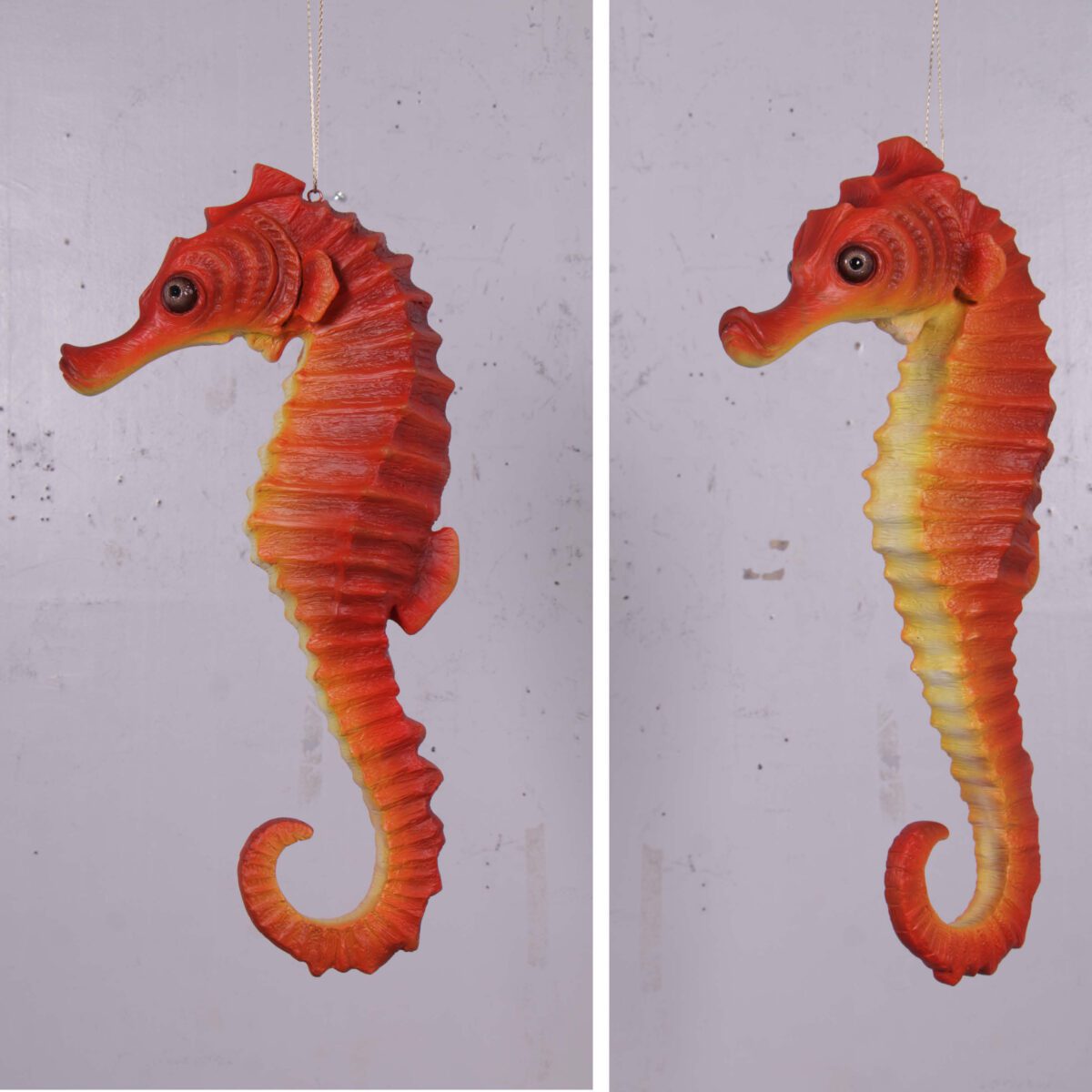 Natureworks Australia Seahorse hanging - 24inch - full 3d sculpture - 140053Natural finish - various views